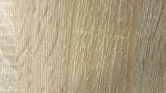 NoFace_Model webcam