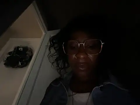 wynterheat webcam
