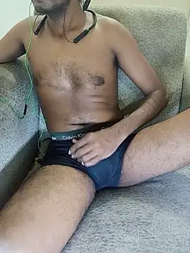 SL-Robinsan webcam