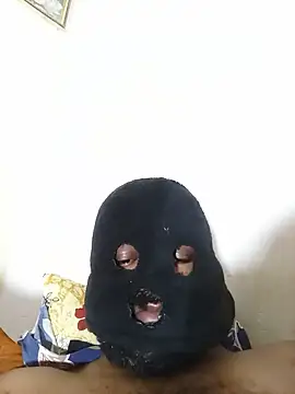 Hiptonos webcam