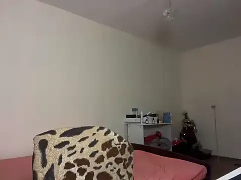 ToddWarren webcam
