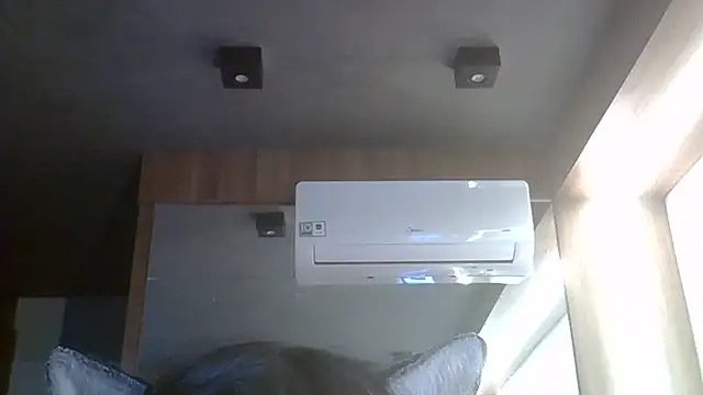 SkinnyKitten webcam