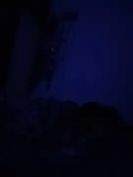 starnighcouple webcam