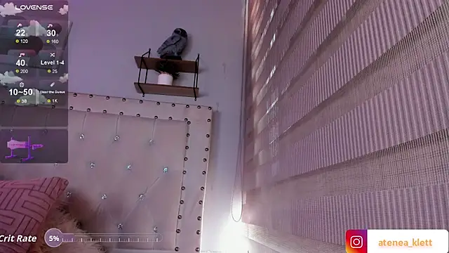 Atenea_Klett_ webcam