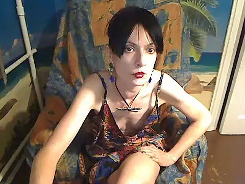 Bastet12 webcam