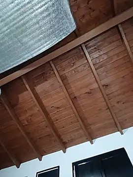 SilvaBranko webcam