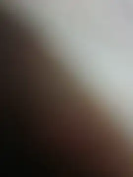 Sphynx010 webcam