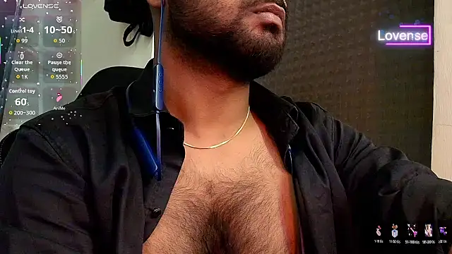 SilverShade3 webcam