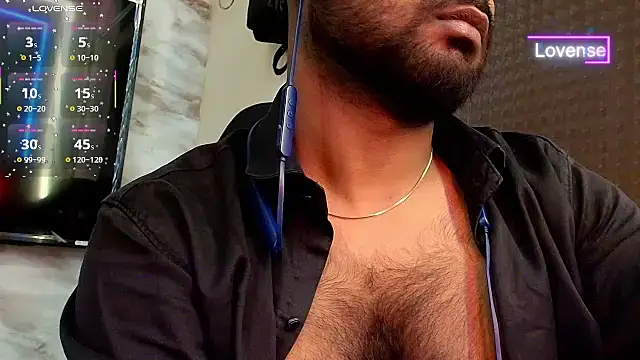 SilverShade3 webcam