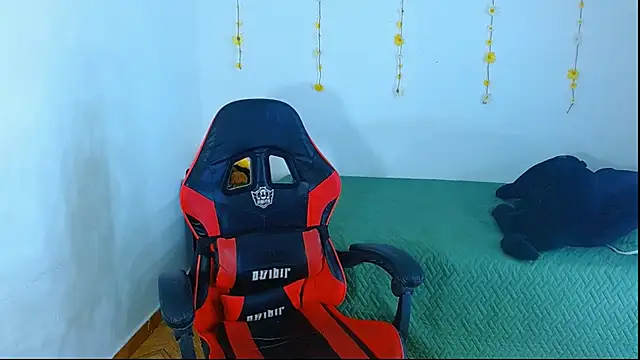 sajecrismaa webcam