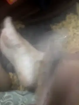 Bigg_Dick_Boobs_777 webcam