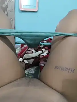Ankitabarwa webcam