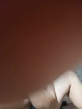 Heli_pusy webcam