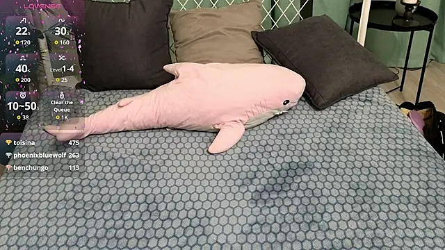 usagi_sasagi webcam