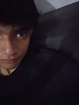 Mikachl4 webcam