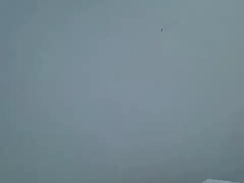 sweetSheila3517 webcam