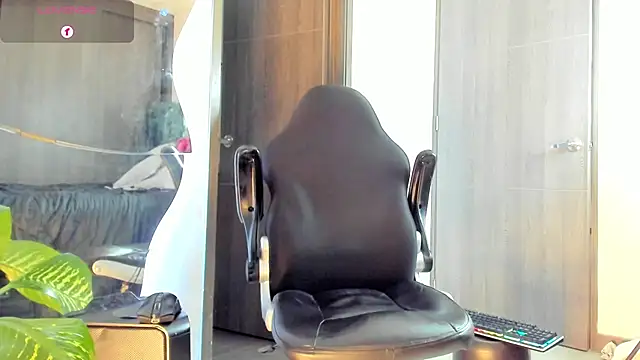 Dimitri_Bass Live Web Cam Show