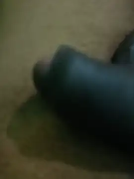 Raajaaryan