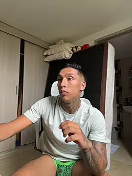 sendfer webcam