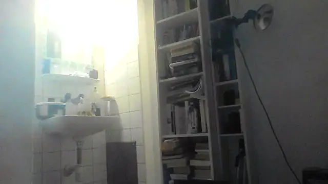 Andrei_maestro webcam