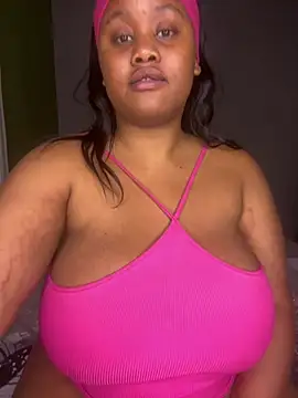 Pree_888x webcam