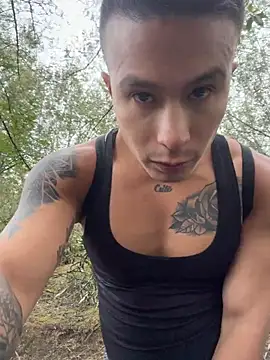 DominickSullivan webcam
