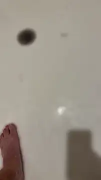 Beastyfuck webcam