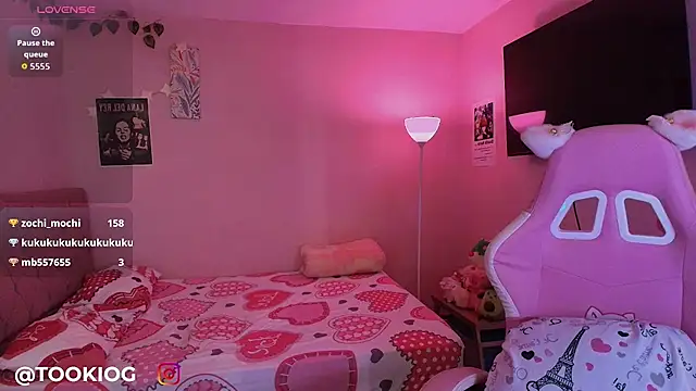 TOOKIOG_ webcam