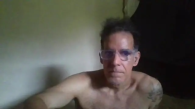 CaptainFox webcam