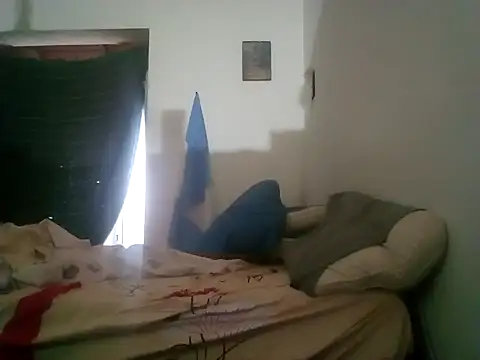 wa379 webcam