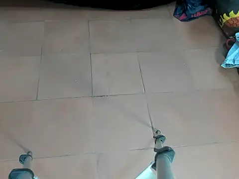petal_bigx19 webcam