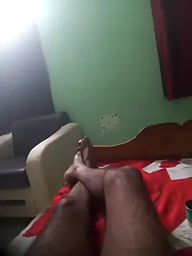 deshi9inch9 webcam