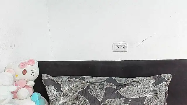 Eirlysx webcam