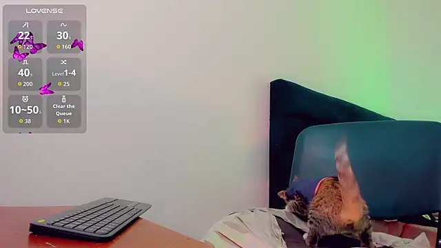 Amanda_Cax webcam