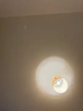 Z1uk webcam