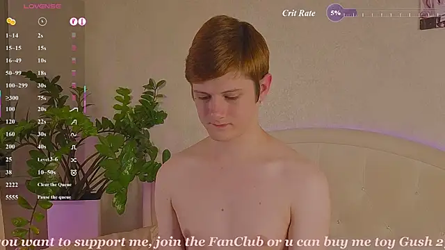 Allert_ webcam
