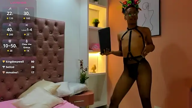 TenderTeacher webcam