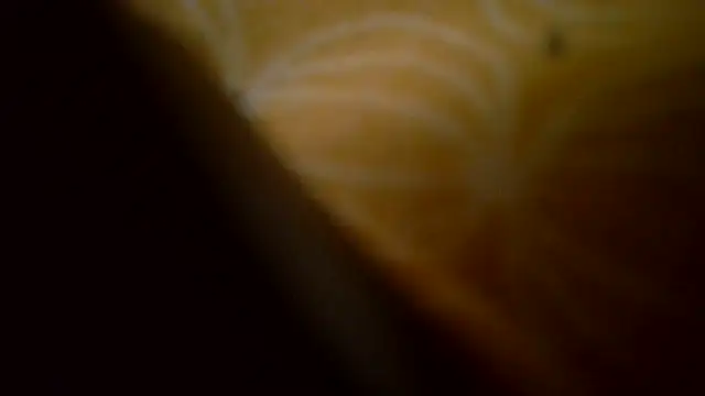 melyssa_luv webcam