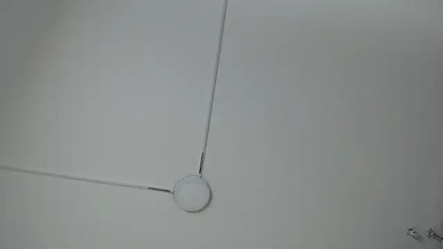 sweetbloomcs webcam