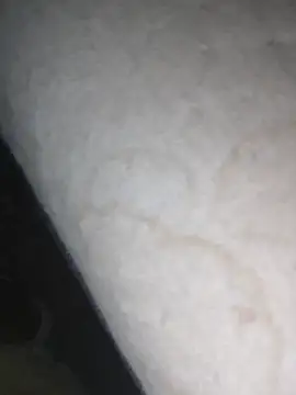 parejade225@xh live sex cam