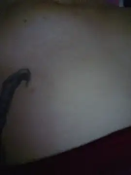 Camila_Fairy webcam