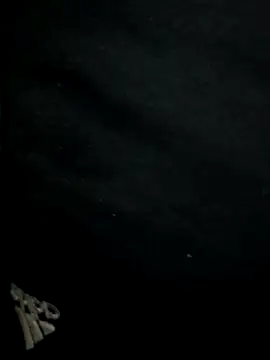 Notiesfuk webcam