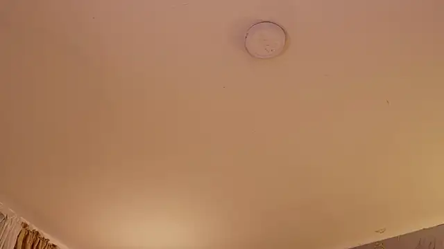soidai_miiu live sex cam