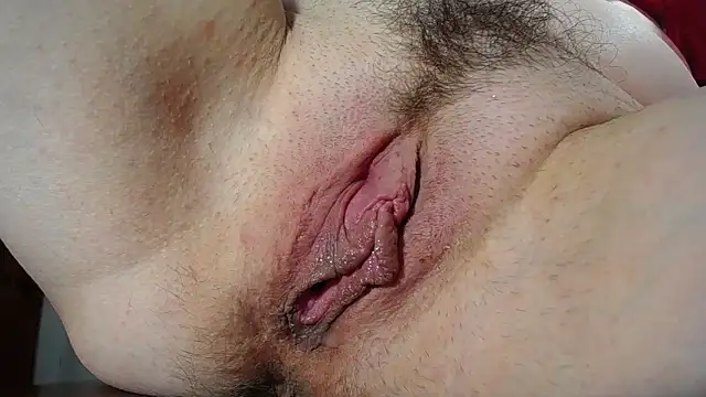 Xollan_ webcam