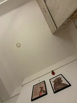 ZaraLuuv Live Web Cam Show