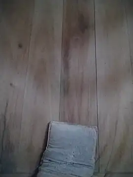 Full039 webcam