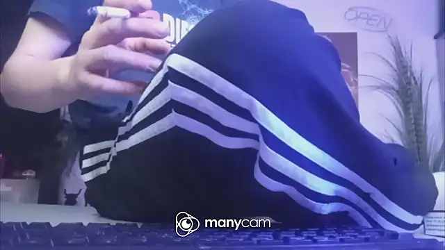 der_dino30 webcam