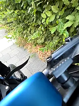 0815lukas2024 webcam