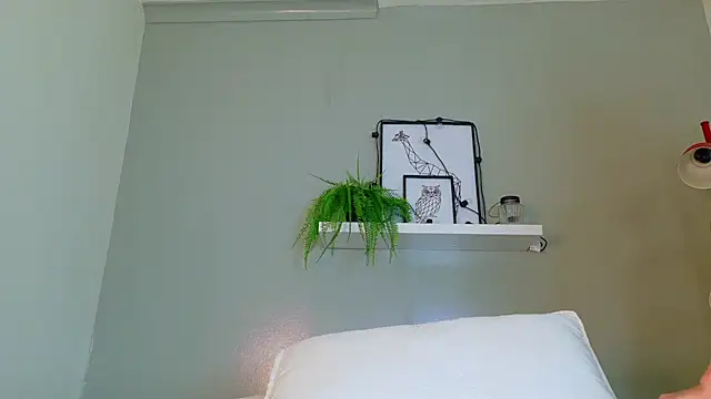 Dulcesexy__ webcam