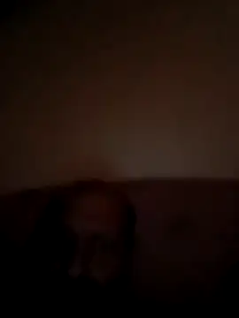 snippet43 webcam